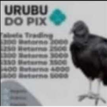 Grupo Dos Fãs :D