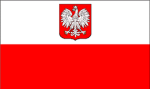 The Polish Army