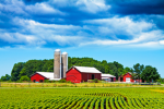 Iworkonfarmsblack's Farm