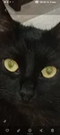 fgdrtrtgg Group Thumbnail