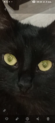 fgdrtrtgg Roblox group icon