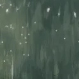 ✿