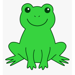 The Offical Froggy Fun!