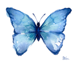 Ae$thetic blue butterflies