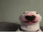 tinimelonz