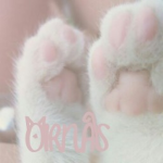 ʚ oirnas ɞ