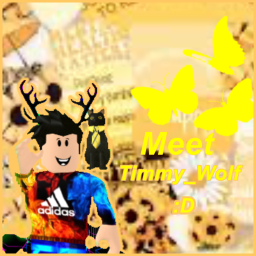 Meet Timmy_Wolf:D