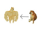 DOGE GYM