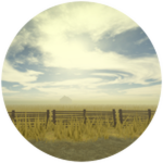 Completed Sublevel: Field of Wheat