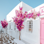 farie boutique
