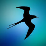 Swifty .inc ™