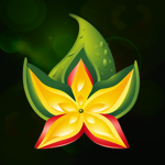 Starfruit Studios