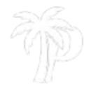 .Palm Customs