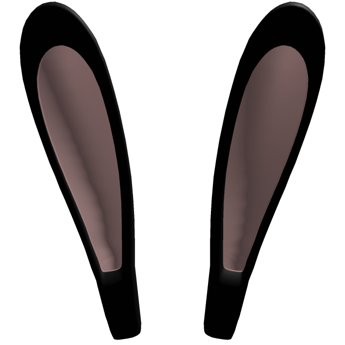 Black Bunny Ears