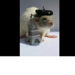 gangsta rats~