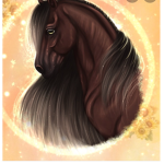 Star stable Academy