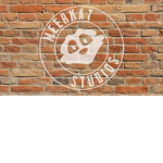 Meerkat studio's