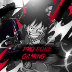Poke PRO gaming Group
