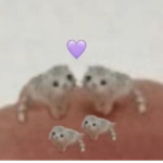 BANGTAN SUCKS