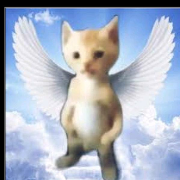el mundo de los gatos de piggy minecraf