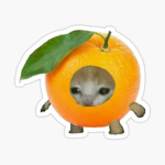 Orange Field