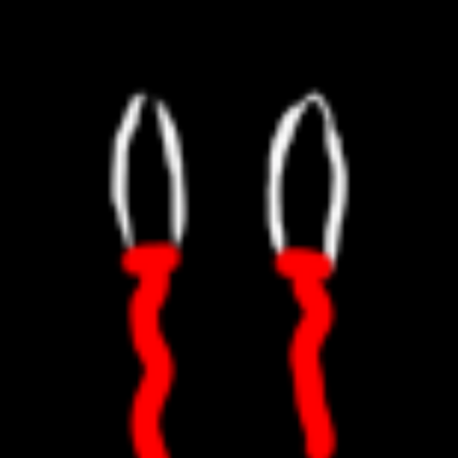 CREEPY EYES CRYING BLOOD Roblox decal