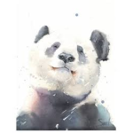 Original PandaX