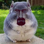 walter bunnys