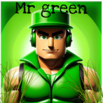 Mr green studio