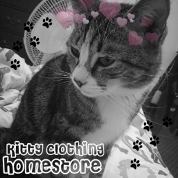 kitty clothing homestore