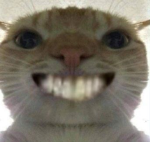 BeryonixE