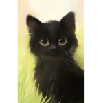The_BlackCats