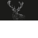 Xxnight fan club
