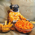 Pugs Are Kings