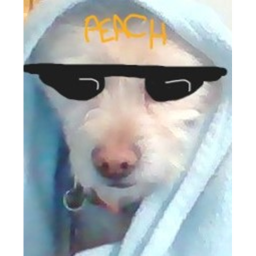 Peaches Life Simulation