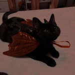Halloween vibes!!!!