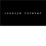 Goodbye ROBLOX.