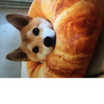 Doggo’s | United