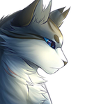 ~WarriorCats fan group~