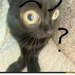 vinii
