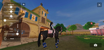 Horse life!