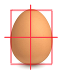Egg lnc Security Division