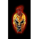 Arcane Spartans300