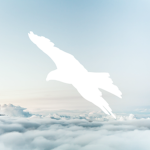 AeroNautical | Netherlands