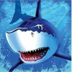 Shark Creations