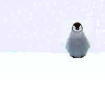 #PenguinCrew