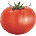 Tomatos united