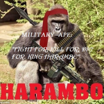 Military Ape