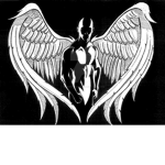 Heaven's Shadow