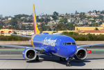 The Microsoft Flight Simulator Group